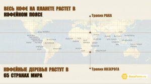 ФАКТЫ О КОФЕ. ПОЛЬЗА ИЛИ ВРЕД КОФЕ.