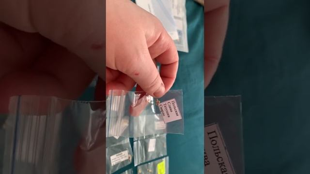 Минусинские томаты от Б. Сонина смотреть онлайн