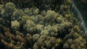 Молитва. Дарья Волосевич. Продюсерский центр "Эколь".