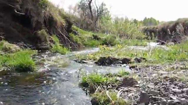 Природа Урала смотреть онлайн