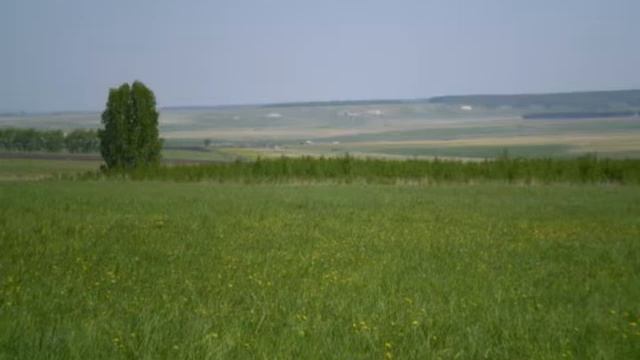 стихи С.Есенина,музыка Черникова Анатолия.6.avi смотреть онлайн