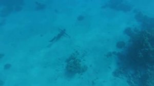 Шарм-эль-Шейх, Египет, сентябрь 2015