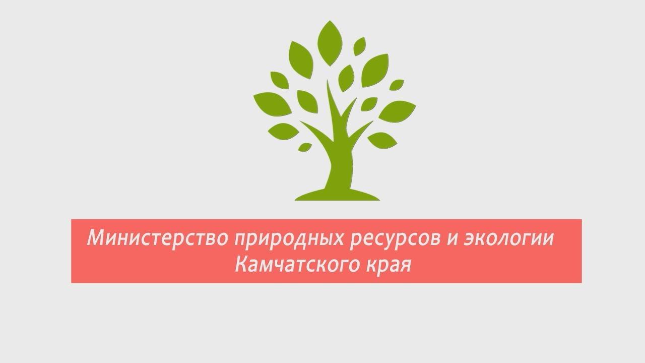 Министерство экологии телефоны