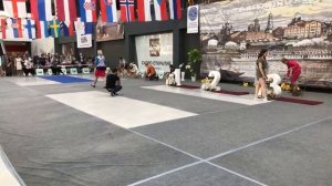 Интернациональная выставка собак Самара “Volga-2018”