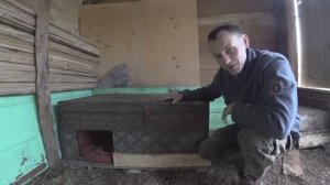 Щенки ЗСЛ для охоты