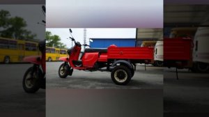 стоит ли покупать мотороллер муравей