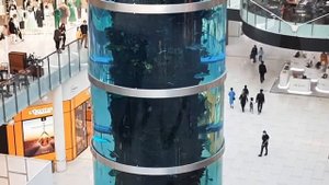 Самый высокий цилиндрический аквариум в Москве, "ТЦ Авиапарк"