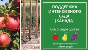 Интенсивный сад: опоры и шпалеры (Онтарио, Канада)