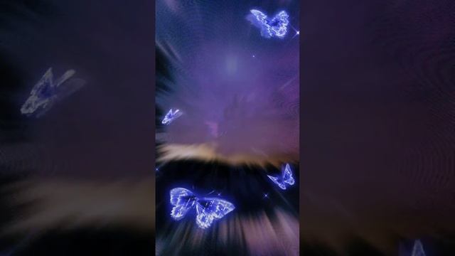 Спокойной ночи, сладких снов.