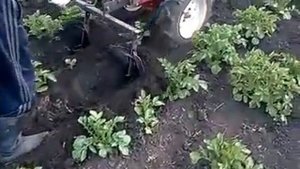 Мотоблок агрос мощь