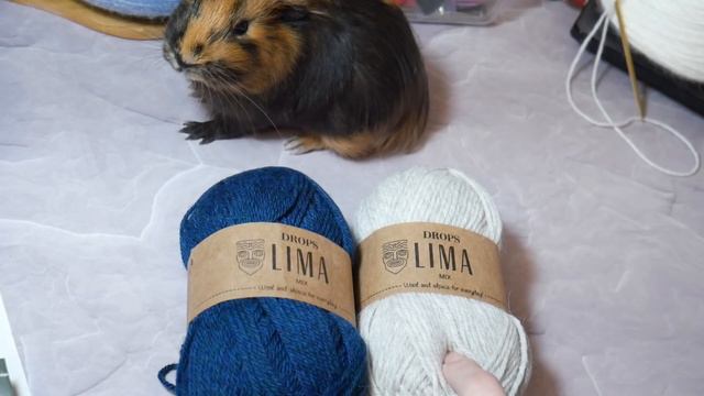 VLOG #37 // ПРОПУСТИЛА ВСТРЕЧУ ГОДА...(( // ЕЩЕ НОВАЯ ПРЯЖА // БОРЬКА // Mariya VD. смотреть онлайн