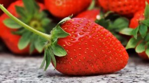 Выращивание клубники круглый год на гидропонике как бизнес идея