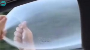 ТОТАЛЬНЫЕ ИДИОТЫ  🤣