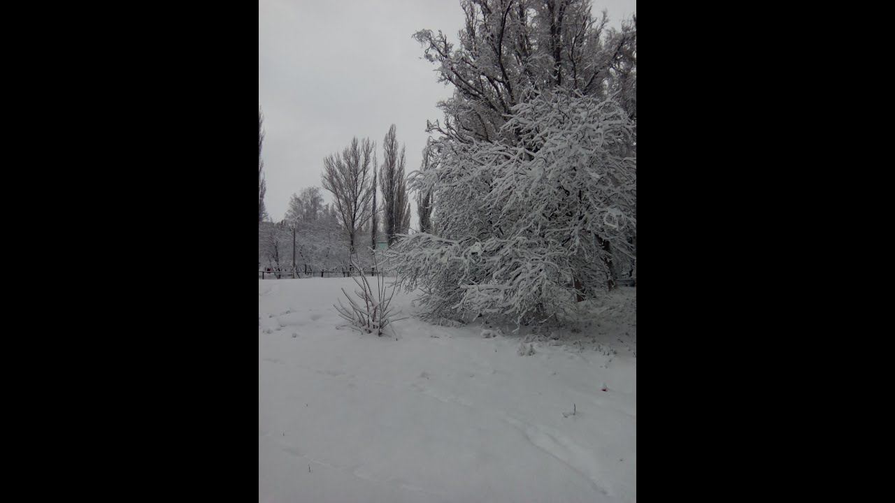 С Новым 2022Годом! смотреть онлайн