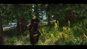 Skyrim ultra Graphics mod - LE - 1080p - Rev Enb -2K