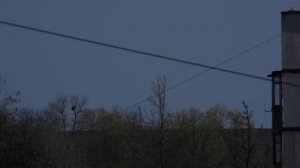 Nikon Coolpix P1000 тестирование - опыты с диафрагмой и выдержкой