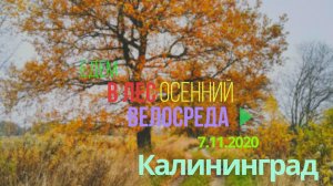 Осенняя велопрогулка от Велосреды 7.11.2020