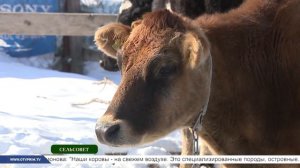 Сельсовет. Молодые фермеры