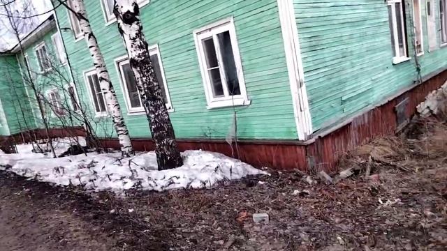 Нагулялась, Медкомиссию прошла, ура!