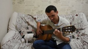 Rammstein - Mutter -  fingerstyle guitar cover