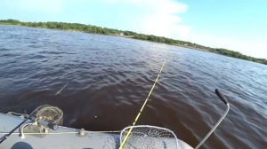 ЖИЗНЬ И ЛОВЛЯ ПРЕСНОВОДНЫХ РЫБ!!!)