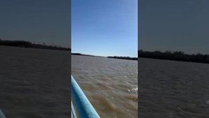 Практика. Принятия.