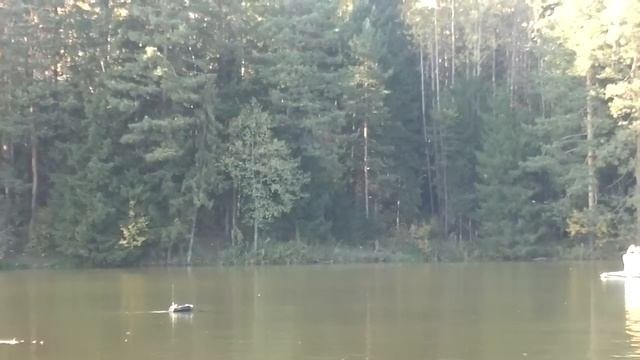 Кораблик для прикормки