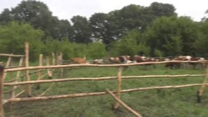 №3. Загон. Посёлок Потеряевка. 2016. июль.