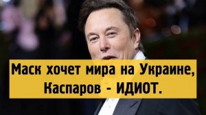 Илан Маск хочет мира на Украине, Каспаров просто идиот.