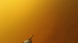 Каспийский сазан. День первый июль 2020 год. Подводная охота на сазана. Каспийский сазан. Раскаты.