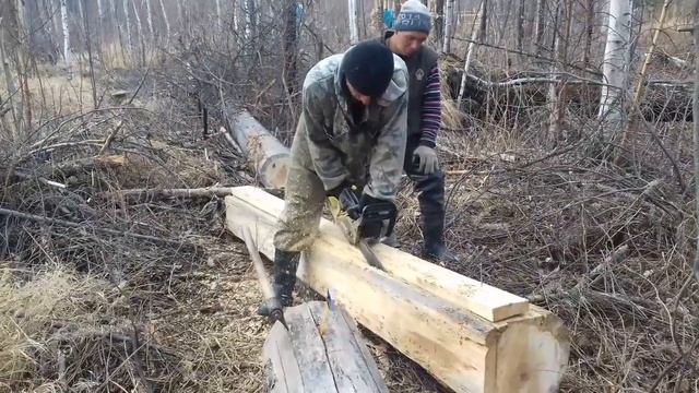 Обрезная дрска бензопилой. смотреть онлайн