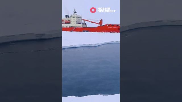 Путин создал Морскую коллегию под руководством Николая Патрушева