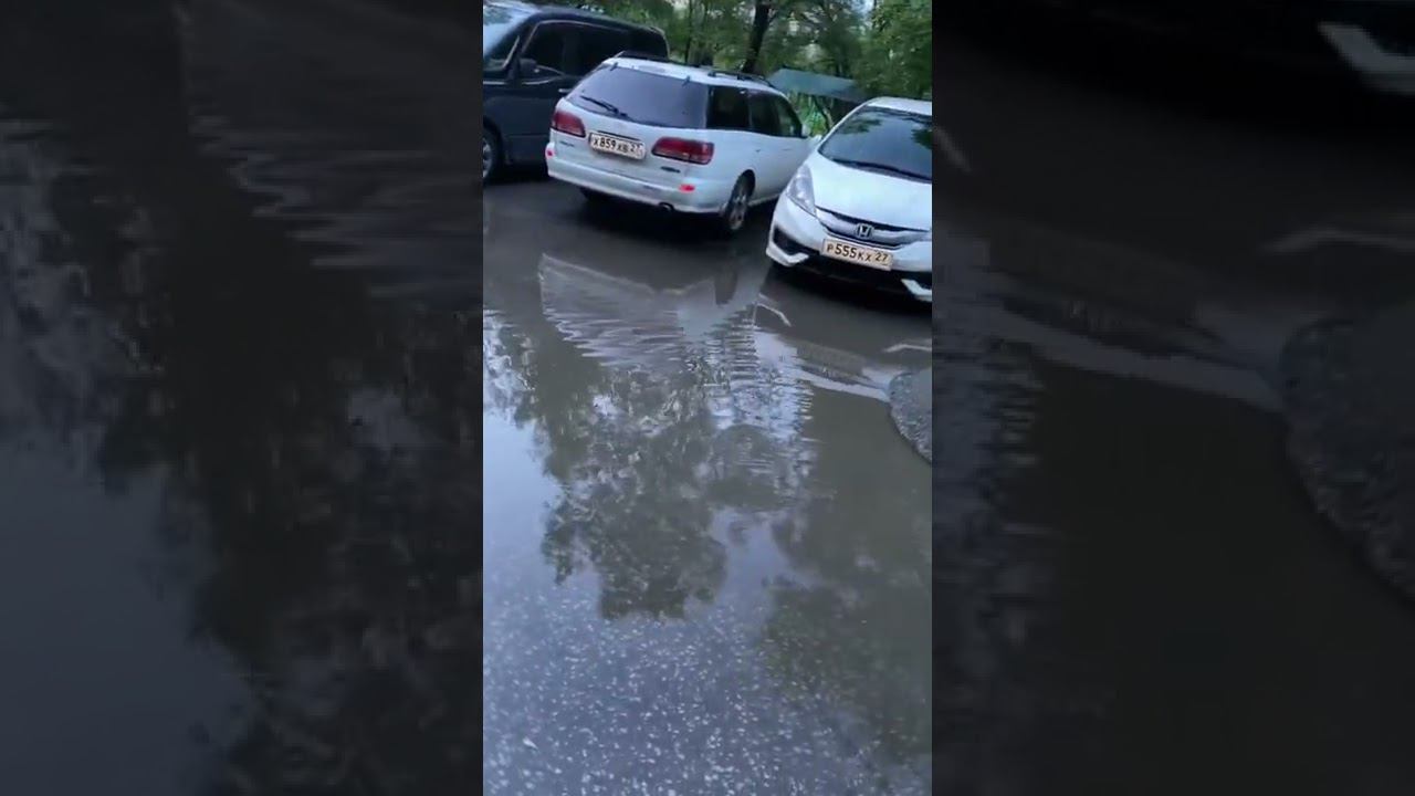 Гуф и Локи носятся по лужам, собаки любят воду! смотреть онлайн