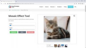 How to Apply Mosaic Effect to Image for Free