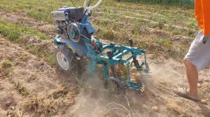 Копка картофеля ККМ-1 и Нева МБ-23 Мультиагро