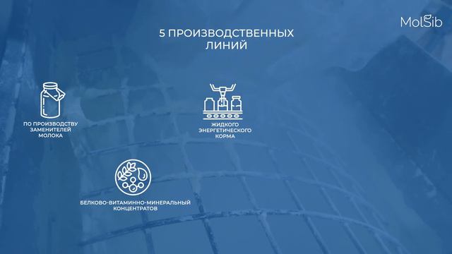 холдинг «МолСиб» смотреть онлайн