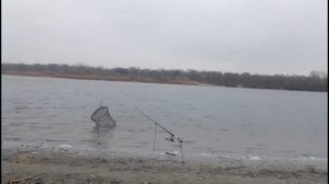 ловля пеленгаса на дону осенью.fishing in Russia on the Don river