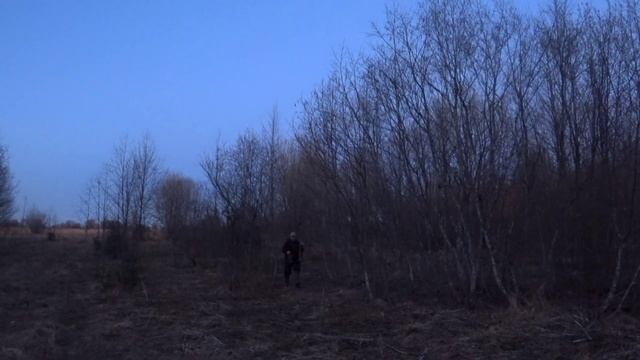 Открытие охоты на ВАЛЬДШНЕПА.2023.Ярославская область. смотреть онлайн