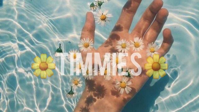 🤙🏿Эстетичная музыка😟//🌼Грустная английская музыка🌼//✋🏿Песни Timmies😟//😔Alena Chamomile✨
