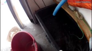 Как сохранить живца для рыбалки