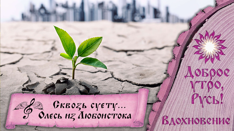 Олесь Счастливый из Любоистока - Песня «Сквозь суету...»