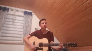 Heite drah i Mi ham - Wolfgang Ambros(Cover)