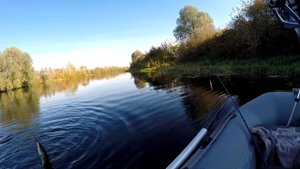 СЕЙМ. АКТИВНАЯ ЩУКА радует КЛЕВОМ! Твичинг, джиг. Рыбалка в ОКТЯБРЕ 2021.