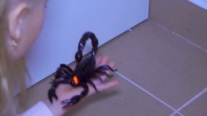 ЗАЧЕМ УЭНСДЕЙ Пришла к Fast Sergey в реальной жизни ? 3 серия