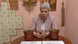 Полезные коктейли для томатов