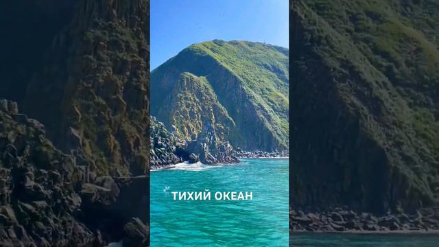 Камчатка остров Старичков Тихий океан Авачинская бухта #travel #tour #kamchatka