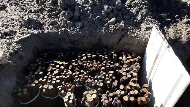 Укоренение черенков винограда. Самый дешёвый и простой метод.