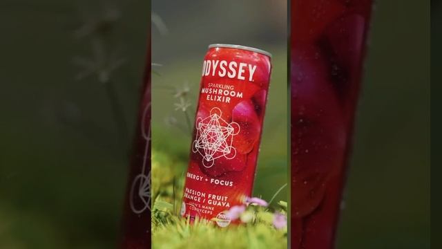 Unlock the Secrets of Mushroom Elixir with Odyssey Elixir