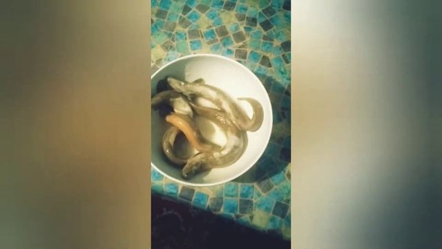 Чистка Вьюнов