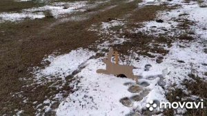 Охота на картонных зайцев